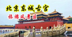 男人和女人操鸡巴黄色视频免费中日韩中国北京-东城古宫旅游风景区